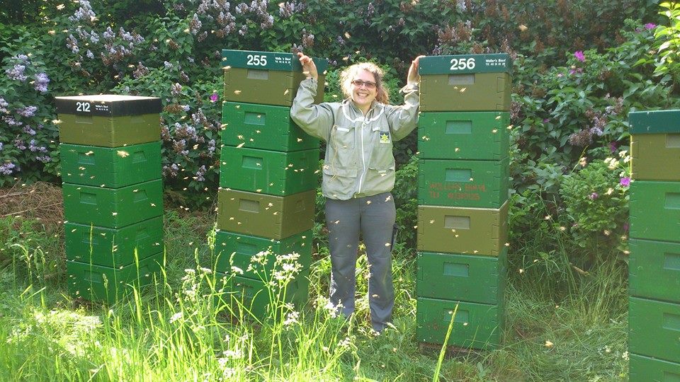 Honningpigen med bistader Honningepigen ved nogle af sine bistader
