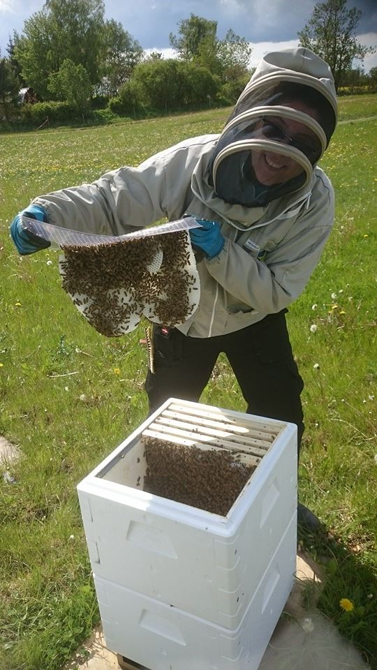 honningpigen i bidragt Honningpigen